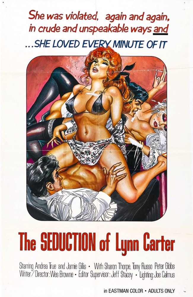 The Seduction of Lyn Carter