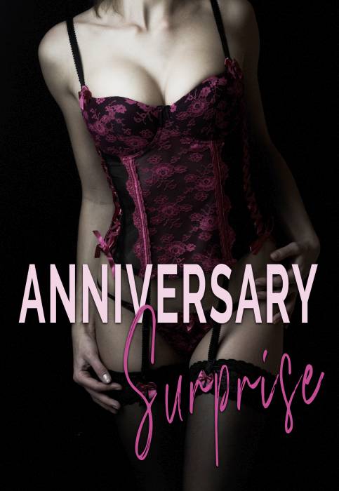 The Anniversary Surprise ( WEB SERIES )