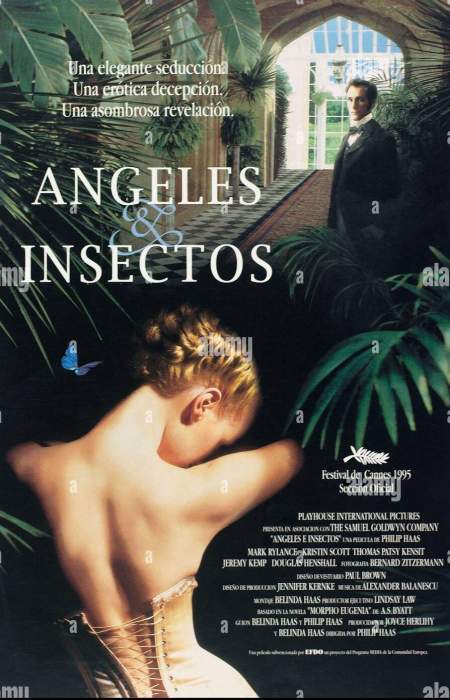Angels and Insects